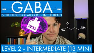 GABA  The Inhibitory Neurotransmitter  Alcohol in the Brain Level 2  Intermediate [upl. by Aramanta]