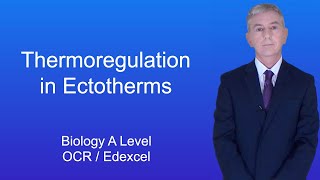 A Level Biology Revision Year 13 quotThermoregulation in Ectothermsquot [upl. by Ceciley]