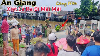 An Giang lại CĂNG ông lão 62T xiệt cá ra đi mãi mãi chỉ vì vài chục ngàn mưu sinh [upl. by Narcis]