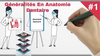 Généralités en anatomie dentaire ADChapitre I1 درس تشريح الأسنان الجزء الأول [upl. by Menendez72]