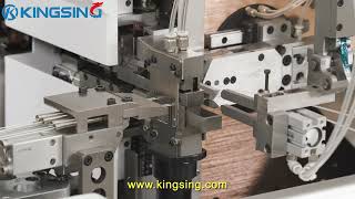 Automatic Wire Crimping Tinning and Twisting Machine [upl. by Kinnon]