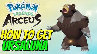 How to get URSALUNA in Pokémon Legends Arceus [upl. by Bennion]