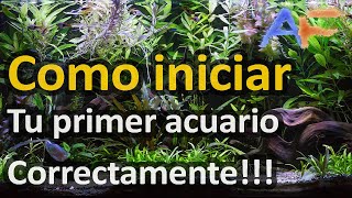 10 CONSEJOS para iniciar TU PRIMER ACUARIO con el pié derecho  Acuarismo Fácil [upl. by Nolyar]