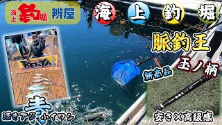 【海上釣堀】新商品！3480円（税込み）脈釣王 玉ノ柄 使てみた [upl. by Neyuh416]