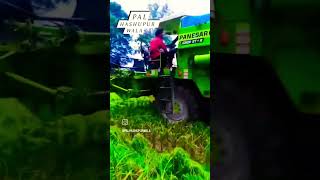 Sonalika to change combine G 60 farming 1509धान pal Hashupur wala [upl. by Ikceb]