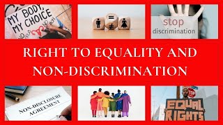 Right to Equality and NonDiscrimination  sjficrc amp nachrcoi [upl. by Lahcear766]