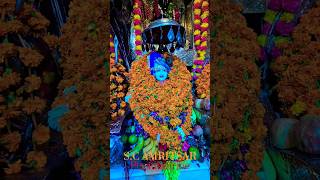 Baba Balak Nath G Today live Darshan baba bababalaknath shortsfeed shorts [upl. by Hniht]