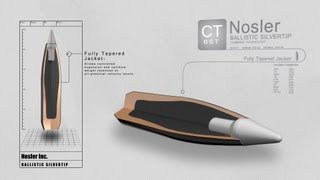 Combined Technology Ballistic Silvertip Bullet [upl. by Novel]