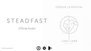 Joshua Leventhal  S T E A D F A S T Official Audio [upl. by Gerta]