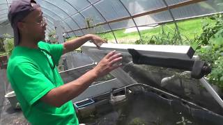 HYDROPONICS AEROPONICS and AQUAPONICS SYSTEM A visit to Rosebud Continuum [upl. by Eusassilem]