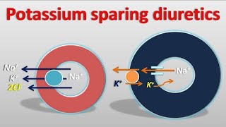 Pharmacology of Diuretics Potassium Sparing Diuretics [upl. by Rothenberg]