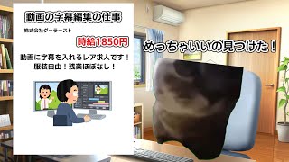 【猫ミーム】底辺が悪質就職詐欺に引っかかった話 [upl. by Billy698]