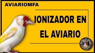 IONIZADOR GENERADOR DE OZONO EN EL AVIARIO 2022 🥇 BAJAR LA HUMEDAD EN EL AVIARIO HONGOS Y BACTERIAS [upl. by Bouchier]