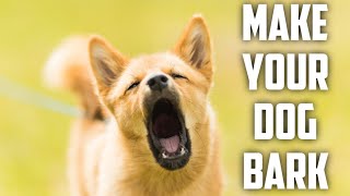 DOG BARKING TO MAKE YOUR DOG BARK GAURANTEED [upl. by Ocsic]