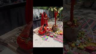 Vat Savitri puja [upl. by Fem]