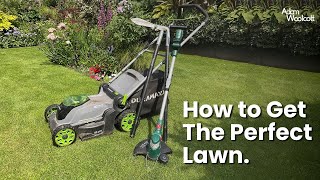 How to get the PERFECT LAWN [upl. by Llenroc]