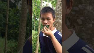 Watch out for gorillas in the jungle survival bushcraft gorilla [upl. by Haggai]