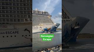 Norwegian Escape departing Port Canaveral March 9 2024 [upl. by Ethbinium]