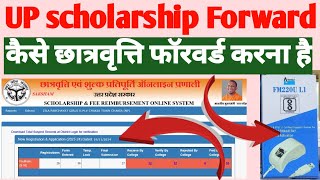 up scholarship forward kaise kre  up scholarship forward by institute 202425  upscholarship [upl. by Trager]