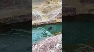 Bolan balochistanadeelbaloch balochistan shortvideo swimming ￼mountain adventure [upl. by Deden]