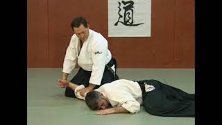 Christian Tissier  Aikido  chudan tsuki  ikkyo ura [upl. by Onateyac]