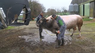 Départ imminent pour Anthony et Malcom binôme de concours du Salon de lagriculture [upl. by Eusebio]