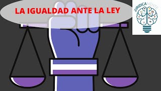 Ley General para la Igualdad entre Mujeres y Hombres [upl. by Nibroc]