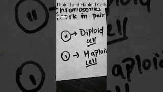 Diploid and Haploid Cells [upl. by Keligot]