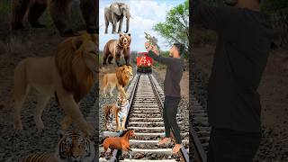 Wild Animals To Wild Animals Name Talking funny shorts mmmrazz comedy [upl. by Ibed735]