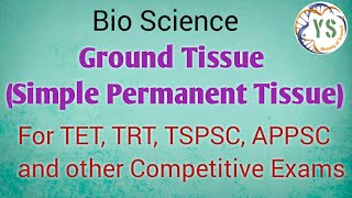 Ground Tissue  Simple Permanent Tissue  9 th Class  Bio Science  General Studies [upl. by Bernelle739]