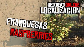 RASPBERRIES location Frambuesas RDR2 Online [upl. by Shanks]