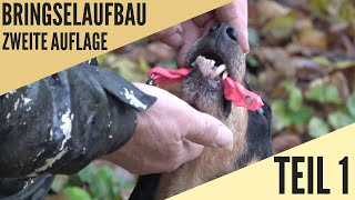 Dem Hund einfach und sicher das Bringselverweisen beibringen TEIL 1 Hundeschule UB [upl. by Flodnar]