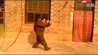 Xing Yi Quan Hsing I Chuan 5 elements Shanxi Style 形意拳五行拳 [upl. by Darb663]