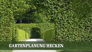 Gartenplanung Hecke  Wie finde ich meine Lieblingshecke [upl. by Fletch138]