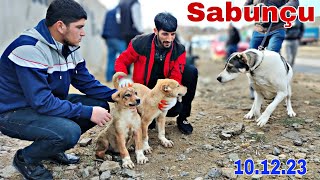 Sabunçu İT Bazarı 10 dekabr 2023 mubarizemintv2271 [upl. by Sixela]