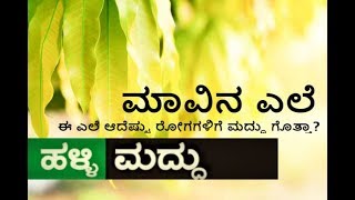 ಹಳ್ಳಿ ಮದ್ದು  ಮಾವಿನ ಎಲೆ ಆದೆಷ್ಟು ರೋಗಗಳಿಗೆ ಮದ್ದು ಗೊತ್ತಾ  UDAYAVANI [upl. by Urias]