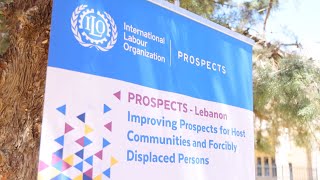 ILO PROSPECTS Lebanon Promoting competency and marketbased skills training in dairy farming [upl. by Wack]