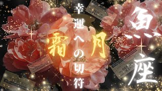 魚座♓️2024年11月運勢✨豊さ満開✨言葉が未来を変える❗️お金は虹みたいなもの🌈生きた使い方を☺️ [upl. by Tamberg58]