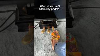 Steinway 3 pedals function 😊 steinway [upl. by Gaskin]