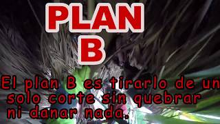 Mejor el plan B [upl. by Verlee680]