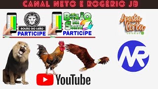 RESULTADO AO VIVO ROGERIO E NETO JB  FEDERAL  21112024 [upl. by Senecal]