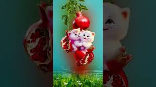 Pomegranate hanging 2cat🥰🥰😻😻shorts catlover viralshort [upl. by Donald]