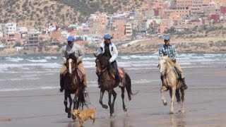 شاطئ تمراغت أكادير tamraght agadir maroc surf 2013 [upl. by Oira]