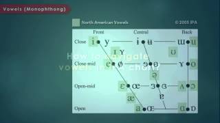 Articulatory Phonetics Introduction to International Phonetic Alphabet [upl. by Melone890]