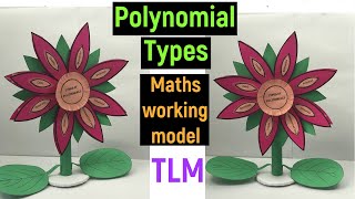 maths working model on types of polynomials  polynomials working model  maths project model  diy [upl. by Bury]