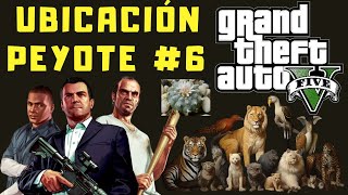 Ubicaciones de Peyote en GTA V 6 Modo Historia [upl. by Tufts645]