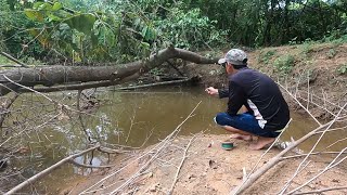 Cómo pescar y cocinar solo usando lo que encontramos en el río PARTE 1 [upl. by Apeed]