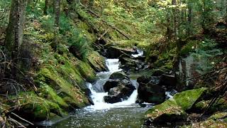 Waterfalls on Belleau Creek [upl. by Nirik]