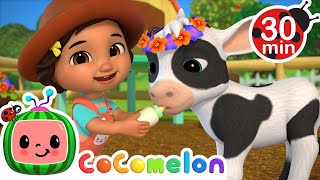 Cute Baby Animals with CoComelon 🐄 La Vaca Lola  Old MacDonald  MORE CoComelon Nursery Rhymes [upl. by Ahsinod590]