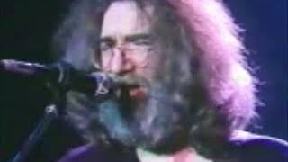 Grateful Dead  Althea 1981 Rockpalast [upl. by Nosredneh]